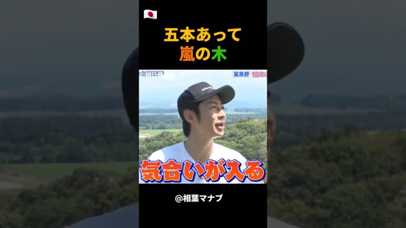 五本あって嵐の木 #嵐 #相葉雅紀