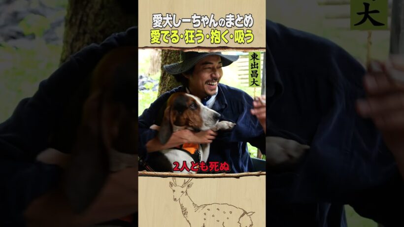 東出昌大 / 愛犬しーちゃんのまとめ