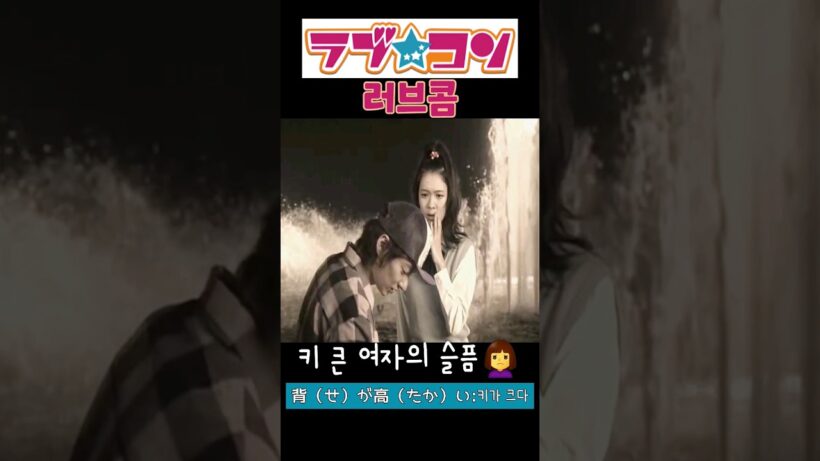 #러브콤 #ラブコン #코이케텟페이 #小池徹平 #후지사와에마 #藤澤恵麻 #일본영화