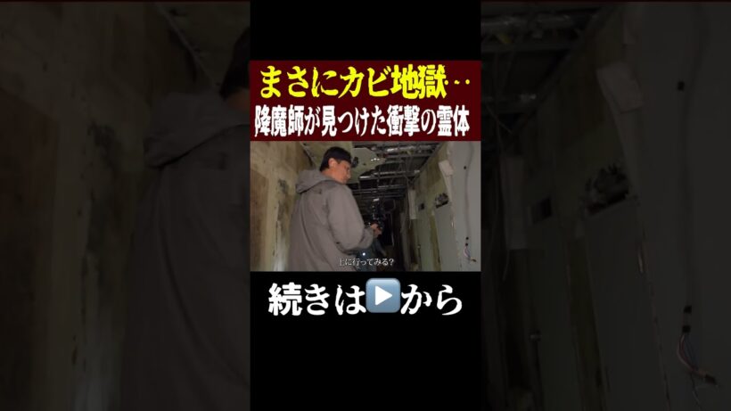 【衝撃映像】そこはカビ地獄だった‥降魔師が見つけた衝撃の霊体とは！？【見えた方はコメント】