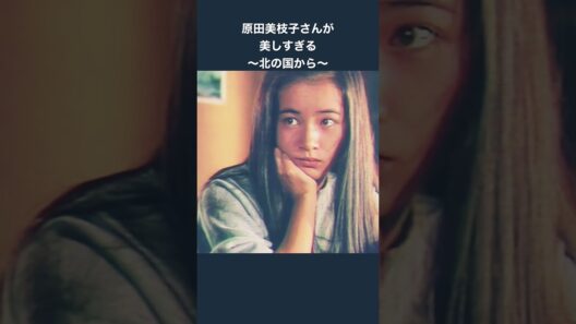 超絶美形・原田美枝子さん〜北の国から〜