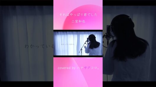 ハナサクコロ。それはやっぱり君でした/二宮和也 2