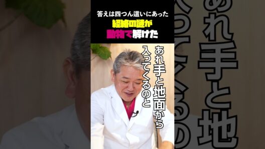 経絡の謎が動物で解けた#吉野敏明 #片岡鶴太郎 #ヨガ #瞑想