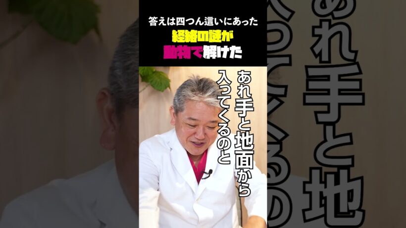 経絡の謎が動物で解けた#吉野敏明 #片岡鶴太郎 #ヨガ #瞑想