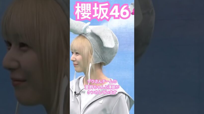 【櫻坂46】 相変わらず喧嘩するほど仲が良いゾウさんチームの夏鈴ちゃんと澤部さん　#櫻坂46 #藤吉夏鈴 #youtubeshorts #shorts #sakurazaka46 #そこさく