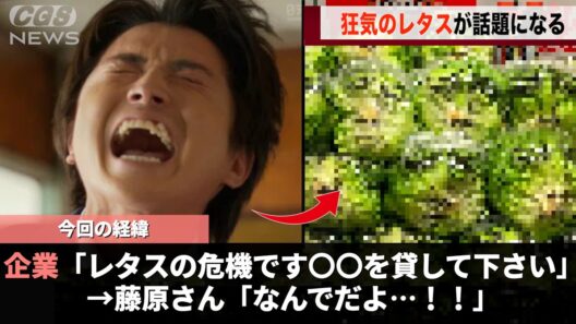 味の素さん、レタスの品質維持のためにとんでもない施策を行い話題になるwwww