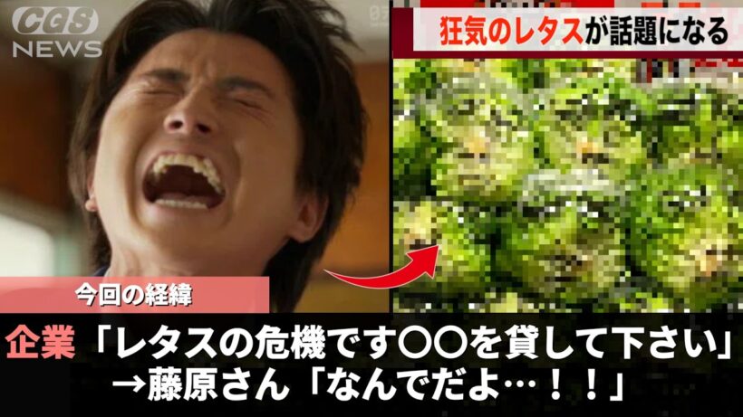 味の素さん、レタスの品質維持のためにとんでもない施策を行い話題になるwwww