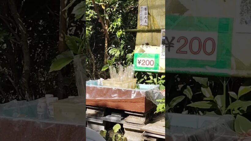 パート2.舟木一夫さん「今日かぎりのワルツ」。火野正平さんが愛した中山道醒ヶ井宿の茶店に行って来ました。蕨餅がボリュームがあって美味しかったね。