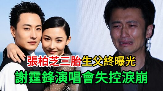張柏芝三胎生父終曝光，謝霆鋒演唱會失控淚崩！#謝霆鋒 #張柏芝