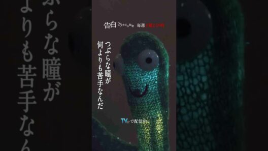 第4話 切り抜き【何よりも苦手なこと】日テレ系土曜ドラマ「告白―25年目の秘密―」#shorts
