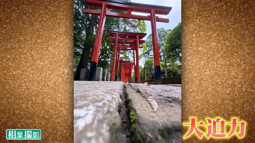 8月8日(土)午後4時放送「絶景！写真部特訓編・相葉雅紀がカメラ修行」相葉◎×部/フジテレビ