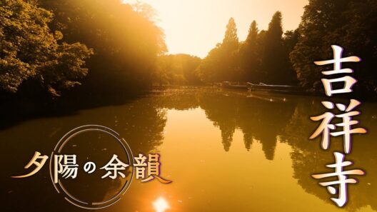 「夕陽の余韻」吉祥寺へ　2026年8月5日放送分