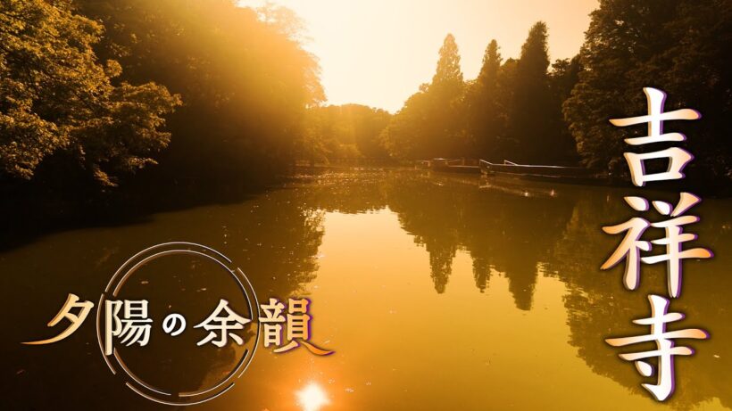 「夕陽の余韻」吉祥寺へ　2026年8月5日放送分