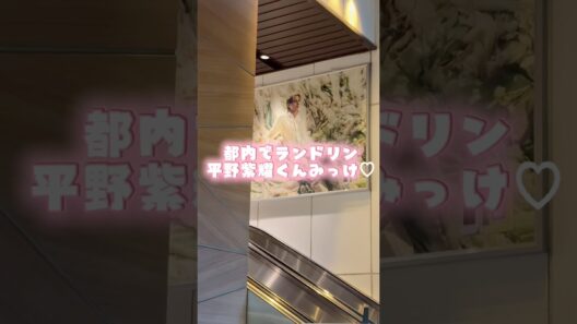 紫耀くんがファンミで口ずさんでたと言われる『森の小さなレストラン』に乗せてどうぞ🌳🤲 #shorts #平野紫耀 #広告