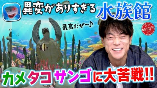 【異変がありすぎる水族館!!】異変がありすぎるシリーズ最新作!!カメタコサンゴに異変がいっぱい!!