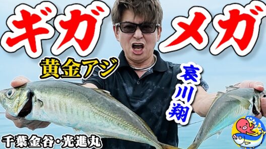 哀川翔ギガアジ連発【黄金アジ釣りは夏が最高!!【千葉金谷・光進丸】