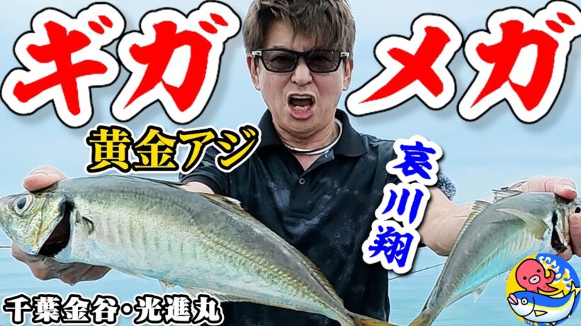 哀川翔ギガアジ連発【黄金アジ釣りは夏が最高!!【千葉金谷・光進丸】
