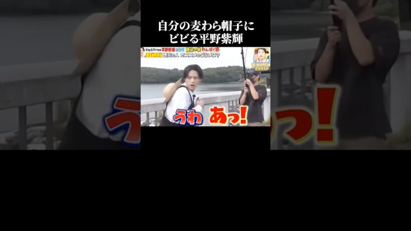 ビビりなかわいい平野紫耀 #面白い #ジャニーズ #平野紫耀 #ビビり #キンプリ 【楽曲提供:箕輪レコーズ】