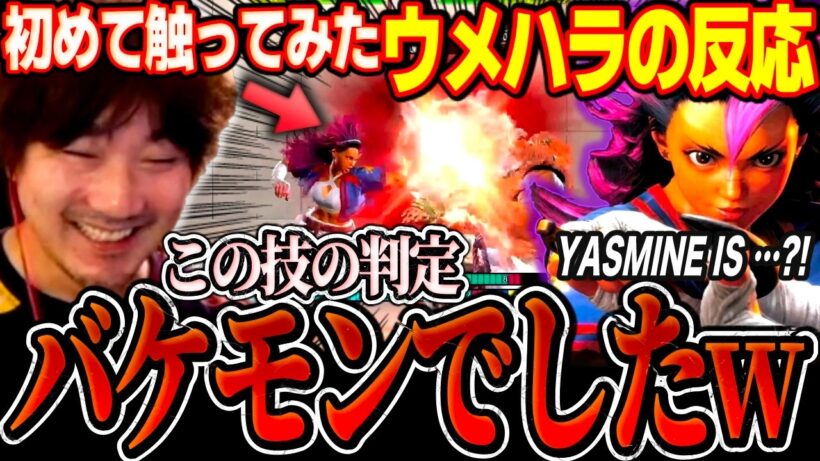 Daigo checks out new character Yasmine and shares his impressions【SF6】