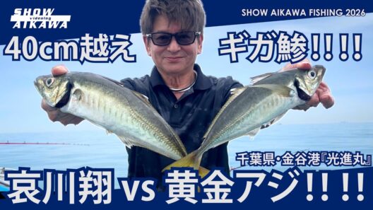 哀川翔 vs 黄金アジ‼︎‼︎ 40cm 越え ギガ鯵‼︎ 【千葉県•金谷港 『光進丸』】