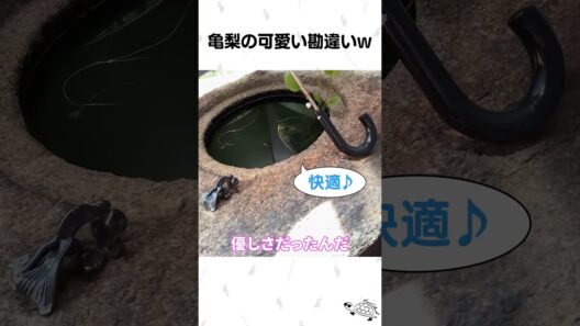 亀梨の可愛い勘違いw