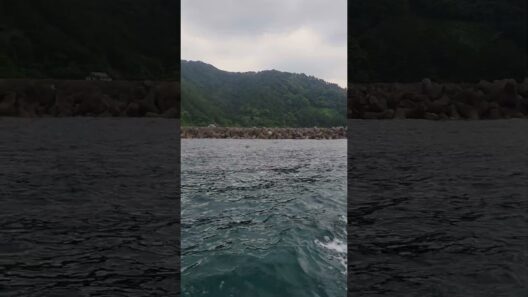 笹川流れ【萩原流行】