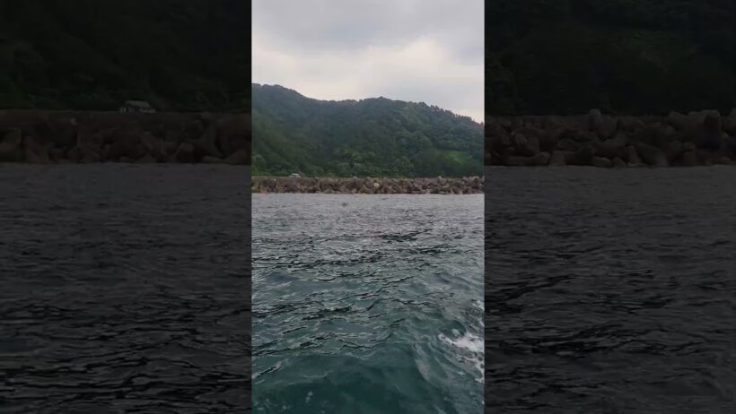 笹川流れ【萩原流行】