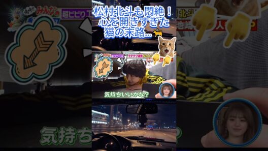 松村北斗も悶絶！心を開きすぎた猫の末路…🐈