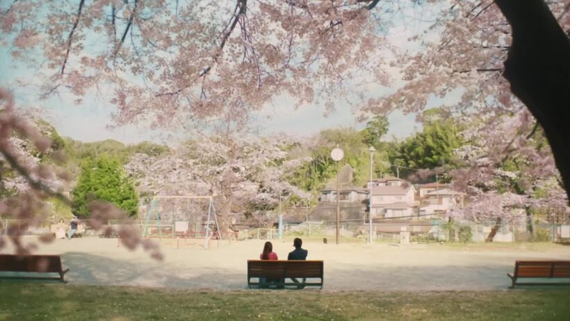 キリン一番搾り　近所の桜篇　30秒