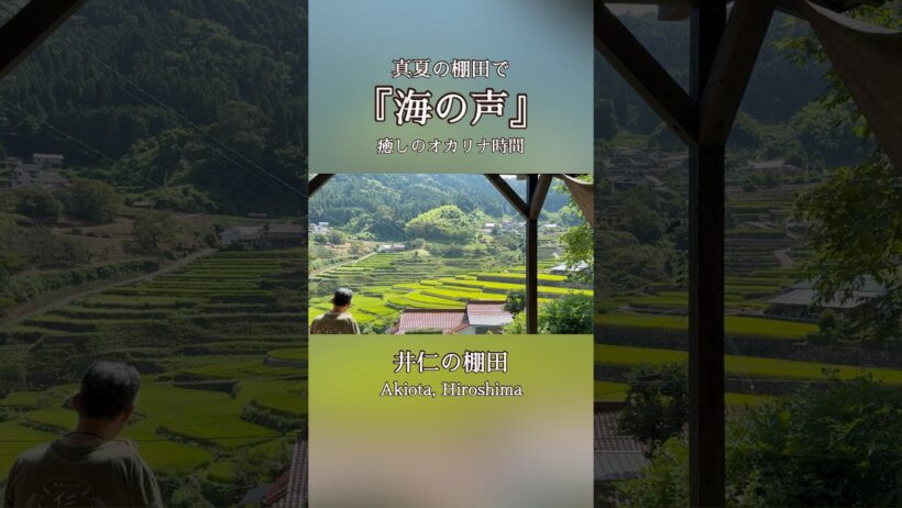 真夏の棚田で『海の声』🌾｜桐谷健太｜癒しのオカリナ時間 自然音 Healing Ocarina in Japanese Rice Terraces No Mic.