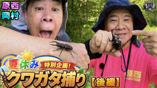 【夏休み特別企画】原西＆岡村のクワガタ捕り！(後編)