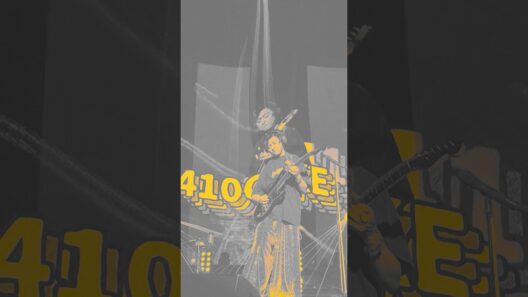 #FUNK #ENDRECHERI #エンドリケリー #堂本剛