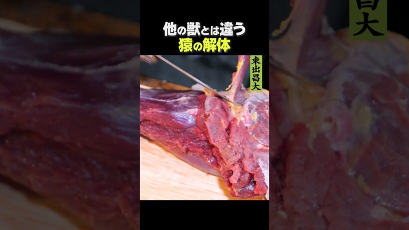 東出昌大 / 猿の解体