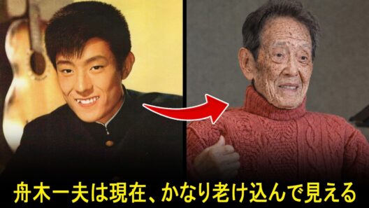 60〜80年代にかつて非常にハンサムだったが、年をとってとても醜くなってしまった日本のスター8人