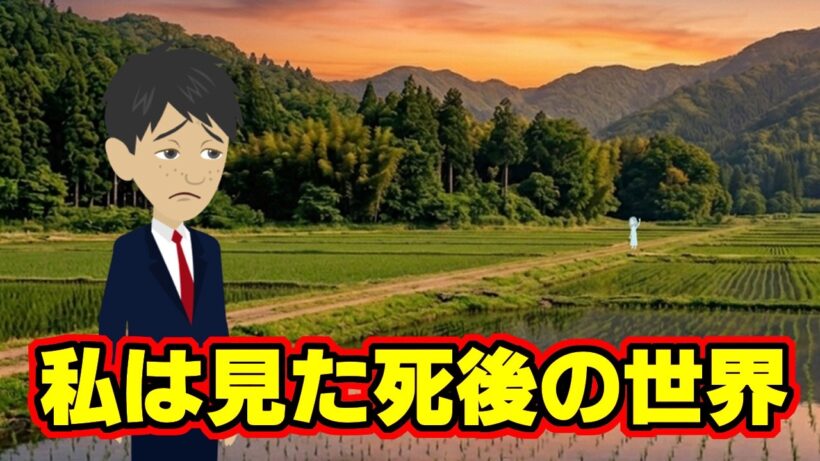 【不思議な話アニメ】私は見た死後の世界（丹波哲郎さんや、その他の方のエピソードを紹介）