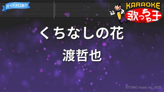 【カラオケ】くちなしの花/渡哲也