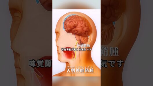 「ドクターX 外科医 Ⅰ」彼女が“まずい”と感じていたのは、料理の技量ではなく、自分の味覚だった # #米倉涼子 #シーズン1