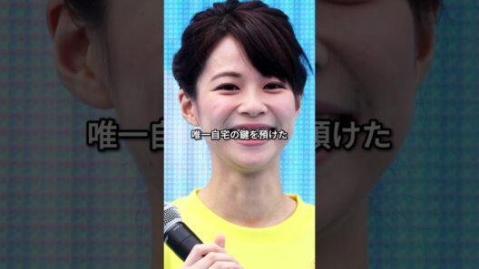 破局が信じられなかったカップル3選 #芸能人 #fyp #佐藤健 #前田敦子 #岡田将生 #鈴木唯 #芸能 #shorts