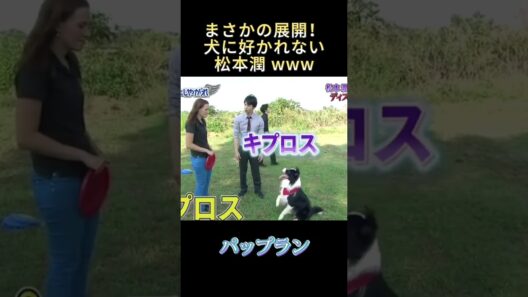まさかの展開！犬に好かれない松本潤ww #funny #ジャニーズ #最高のシーン #面白い #面白集