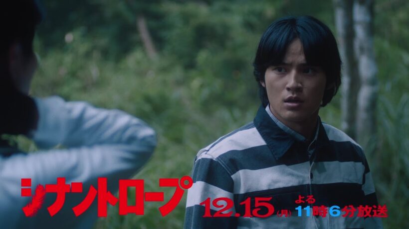 【予告】ドラマプレミア23「シナントロープ」第11話 | テレビ東京