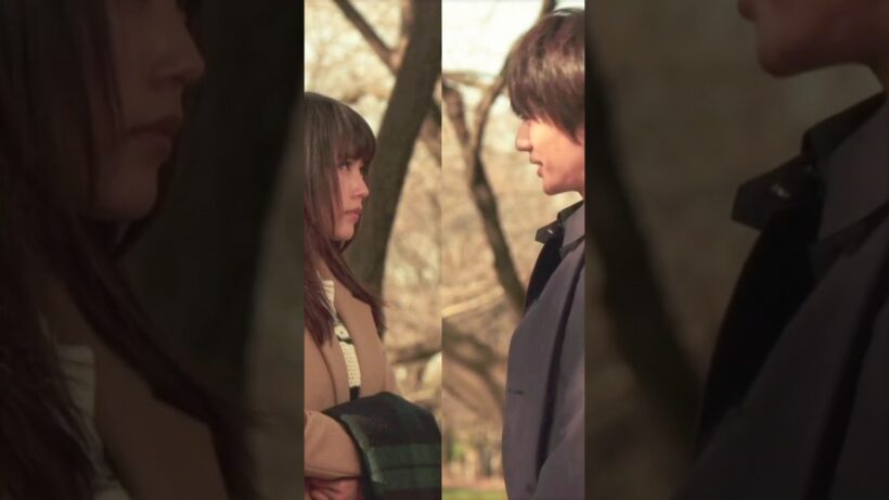 【有村架純×西島隆弘】「恋から始まらなくていい。ここで生きよう。」【胸キュン】 #有村架純 #西島隆弘