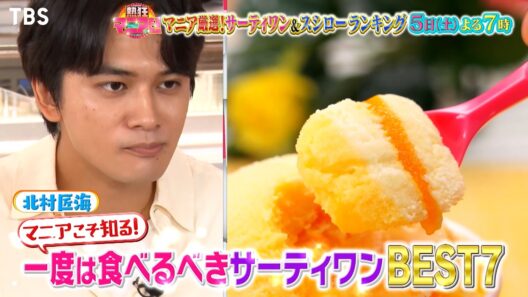 北村匠海vsサーティワン★一度は食べるべきフレーバー厳選ベスト7『熱狂マニアさん！』9/5(土)【TBS】