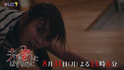 【予告】「夫を殺したはずなのに」第9話｜テレビ東京
