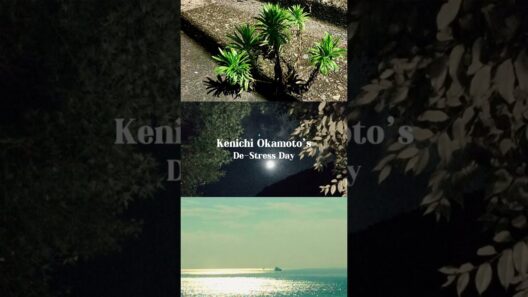 暑い夏を乗り切れ🏄🌊#LoveSurvivor でストレス発散！#岡本健一 編