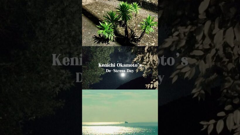 暑い夏を乗り切れ🏄🌊#LoveSurvivor でストレス発散！#岡本健一 編