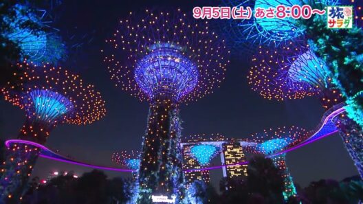 海外の旅はシンガポールへ！ゲストの旅は関口メンディー！「旅サラダ」9月5日（土）放送