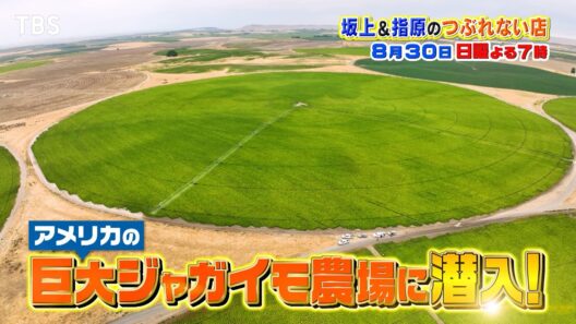 ギルティバーガー戦争＆米のマックポテト農場に世界初潜入『坂上&指原のつぶれない店』8/30(日)【TBS】