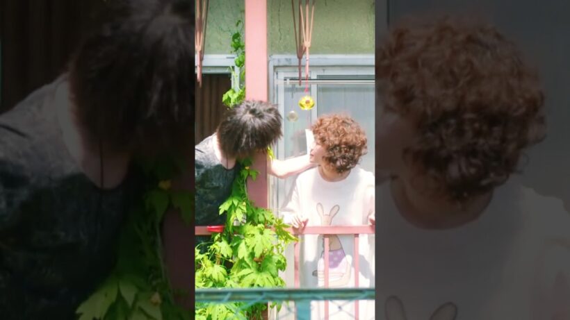 【黒木華×中村倫也】ベランダ越しキス 【胸キュン】#黒木華 #中村倫也