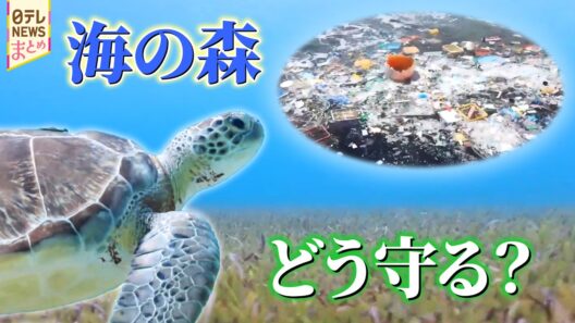 【海洋ごみ問題】私たちもできる美しい海を守る取り組み/温暖化を加速させるメタンを抑える日本人の技術とは【地球にいいこと】