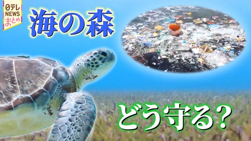 【海洋ごみ問題】私たちもできる美しい海を守る取り組み/温暖化を加速させるメタンを抑える日本人の技術とは【地球にいいこと】